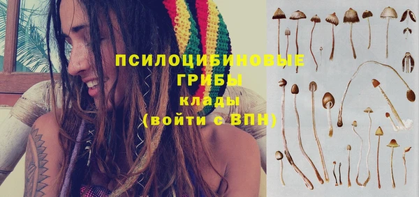 экстази Краснослободск
