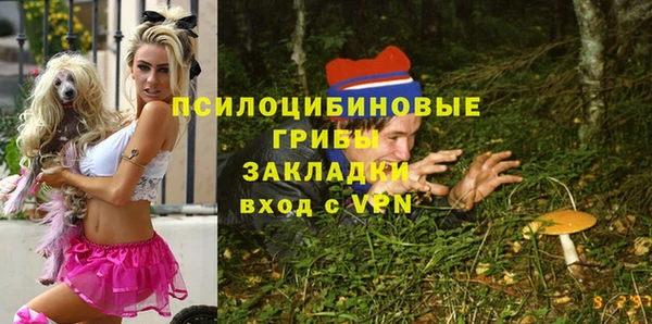 PSILOCYBIN Костерёво