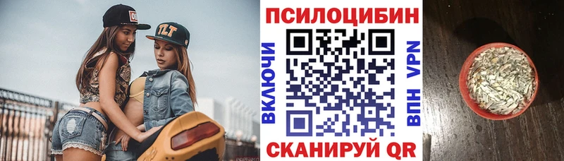 Галлюциногенные грибы мицелий  купить наркотики сайты  Духовщина 